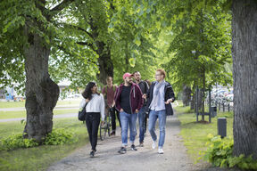 Group of people walking outside surrounded by trees