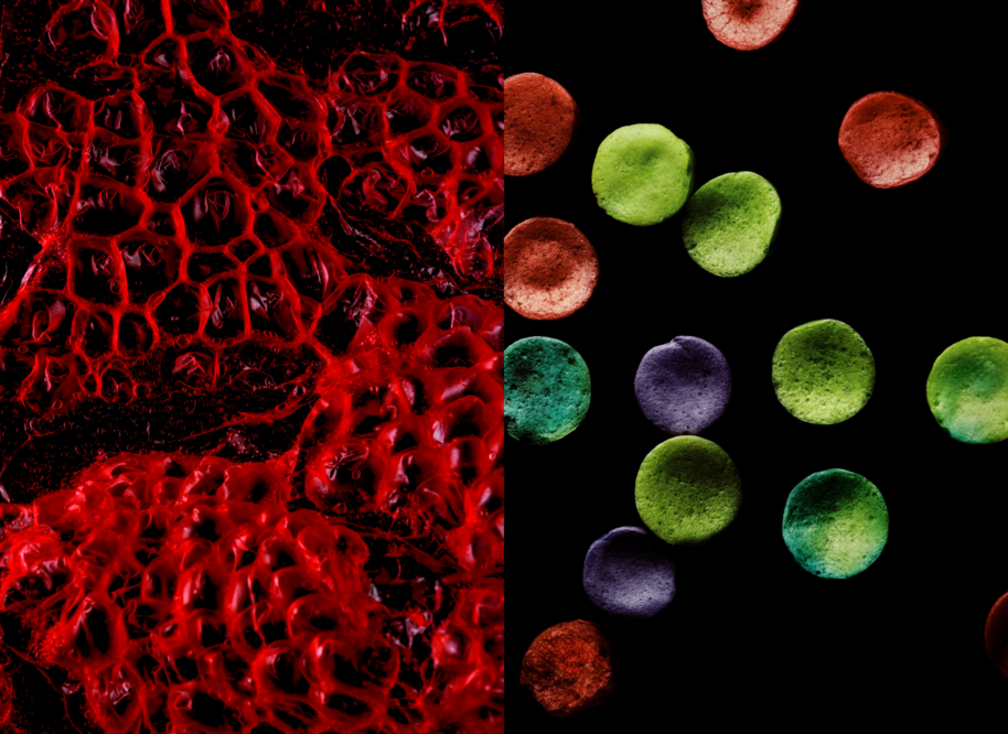 Bubbles with benefits coloures material